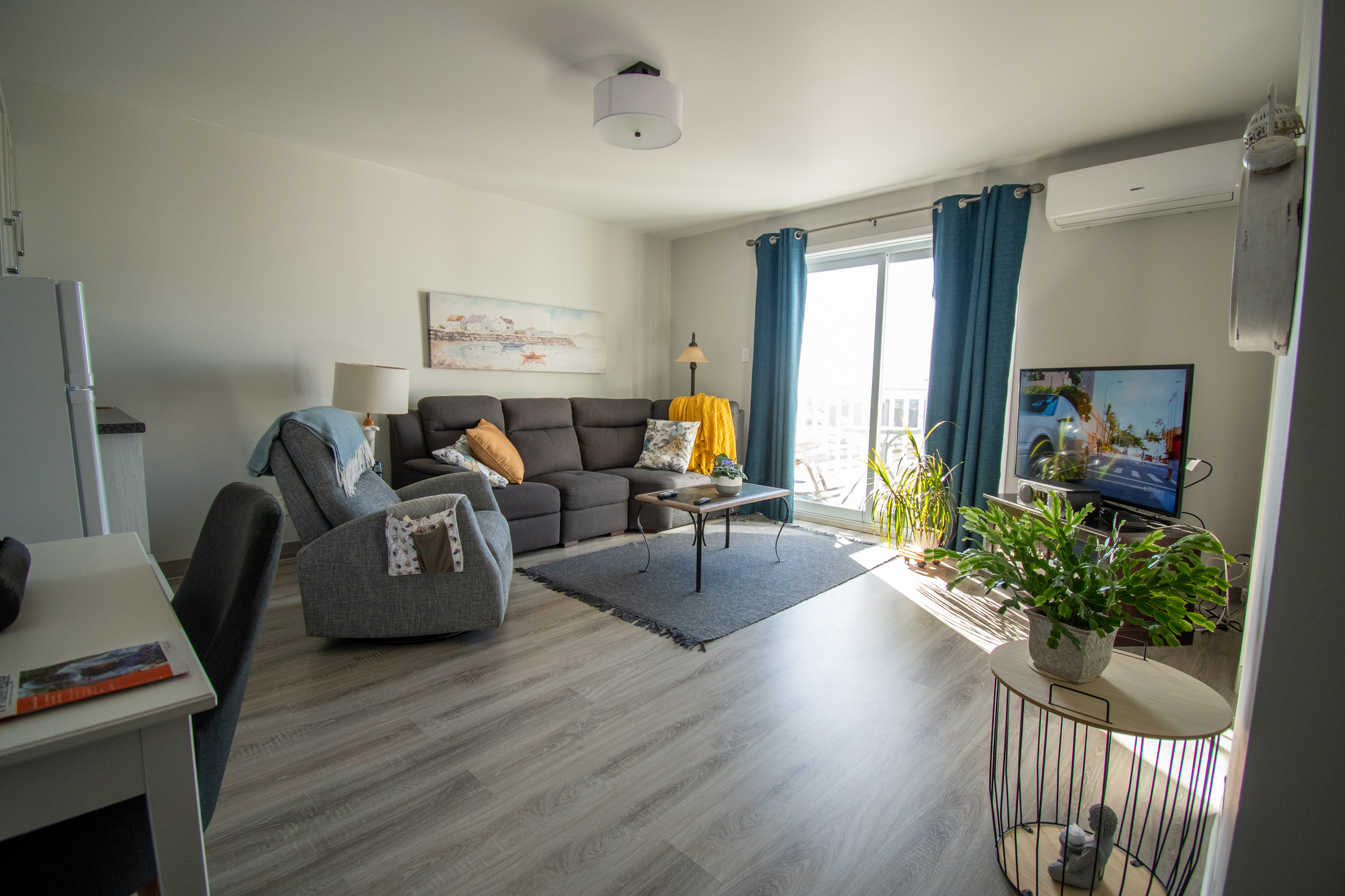 Salon spacieux - 2½